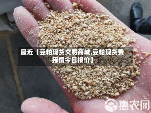 最近【豆粕现货交易商城,豆粕现货费用行情今日报价】-第2张图片