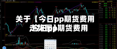 关于【今日pp期货费用,今日pp期货费用走势图】