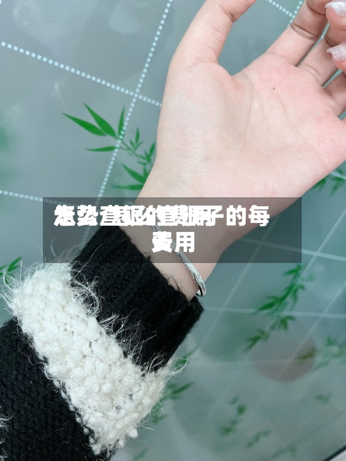 怎么查银的费用走势/怎么查银子的每天费用