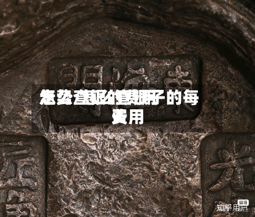 怎么查银的费用
走势/怎么查银子的每天
费用
-第2张图片
