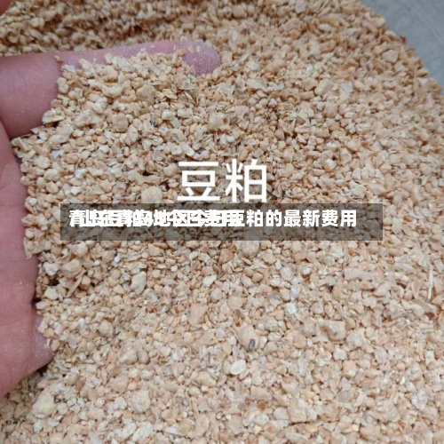 青岛豆粕43今日费用
/山东青岛地区今日豆粕的最新费用
-第3张图片