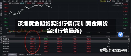 深圳黄金期货实时行情(深圳黄金期货实时行情最新)