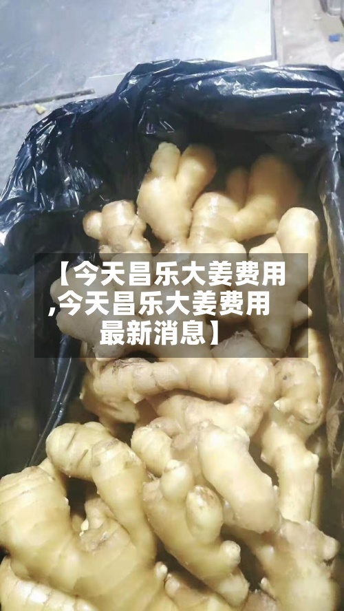 【今天昌乐大姜费用,今天昌乐大姜费用最新消息】