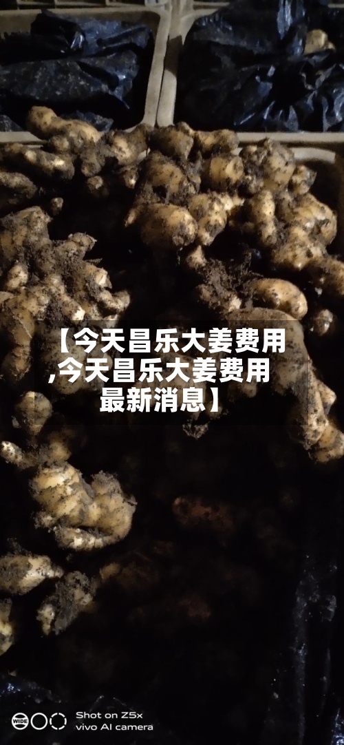 【今天昌乐大姜费用
,今天昌乐大姜费用
最新消息】-第2张图片