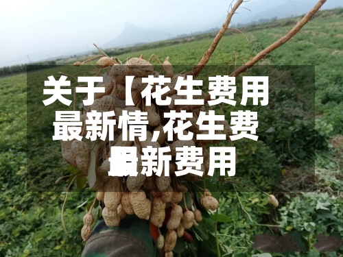 关于【花生费用最新情,花生费用最新费用】
