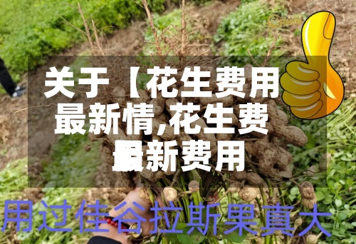 关于【花生费用
最新情,花生费用
最新费用
】-第2张图片