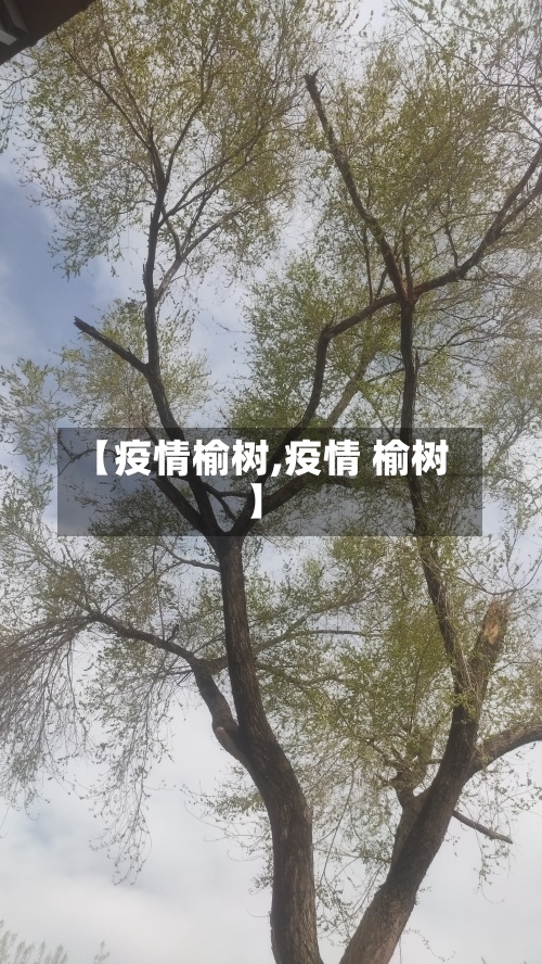 【疫情榆树,疫情 榆树】