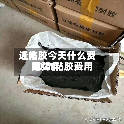 近来
【粘胶今天什么费用
2021粘胶费用
趋势】