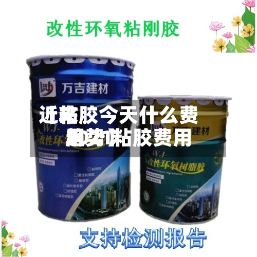 近来
【粘胶今天什么费用
2021粘胶费用
趋势】-第2张图片