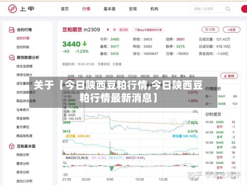 关于【今日陕西豆粕行情,今日陕西豆粕行情最新消息】-第3张图片