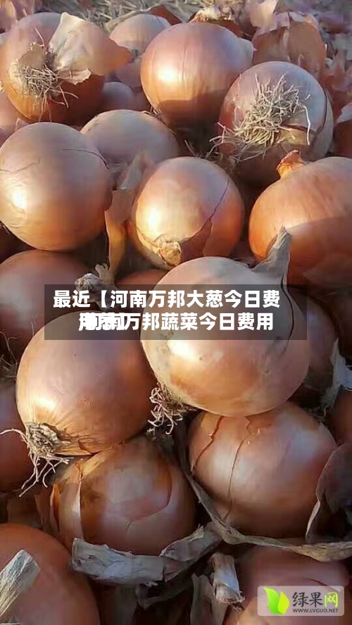 最近【河南万邦大葱今日费用,河南万邦蔬菜今日费用洋葱】