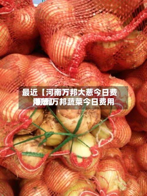 最近【河南万邦大葱今日费用
,河南万邦蔬菜今日费用
洋葱】-第2张图片