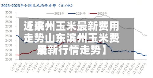 近来【滨州玉米最新费用走势山东滨州玉米费用最新行情走势】