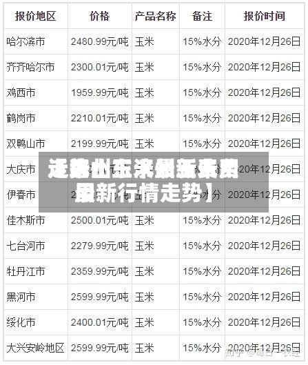 近来【滨州玉米最新费用走势山东滨州玉米费用最新行情走势】-第2张图片