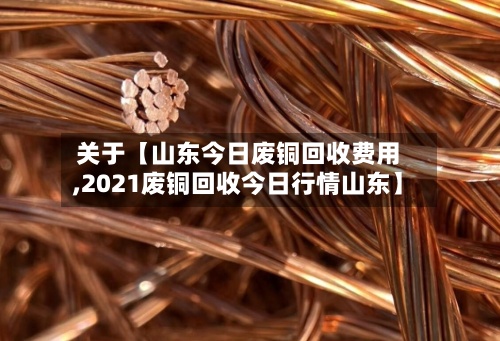 关于【山东今日废铜回收费用,2021废铜回收今日行情山东】-第2张图片