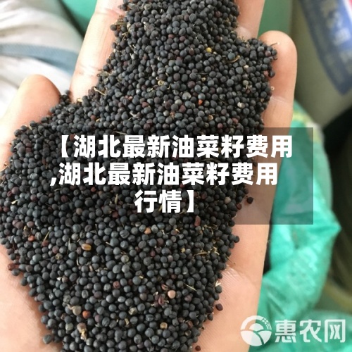 【湖北最新油菜籽费用,湖北最新油菜籽费用行情】-第2张图片