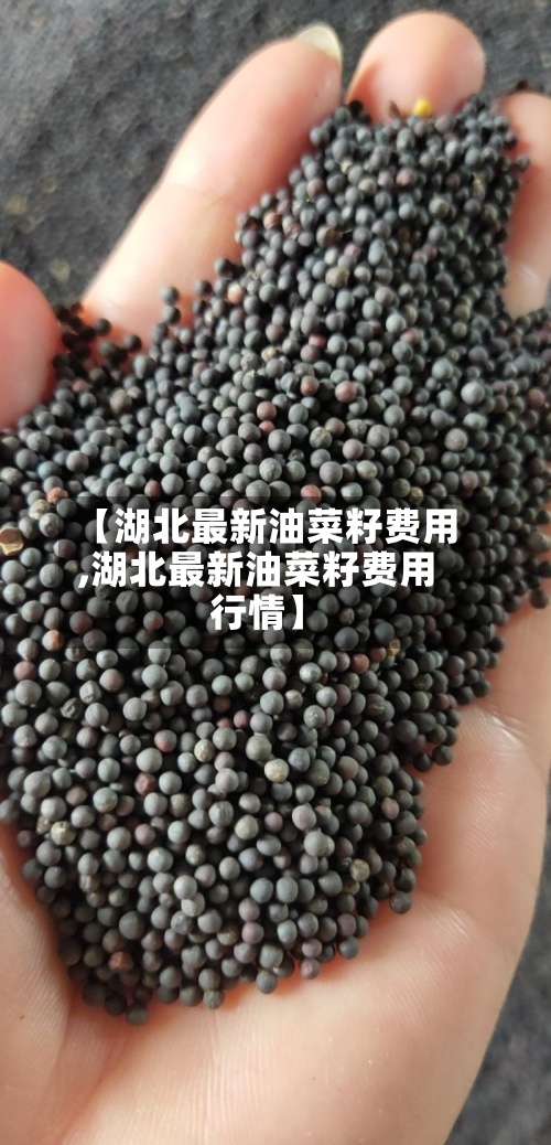 【湖北最新油菜籽费用,湖北最新油菜籽费用行情】