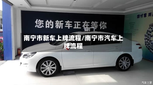 南宁市新车上牌流程/南宁市汽车上牌流程