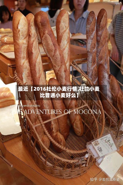 最近【2016杜伦小麦行情,杜兰小麦比普通小麦好么】-第2张图片