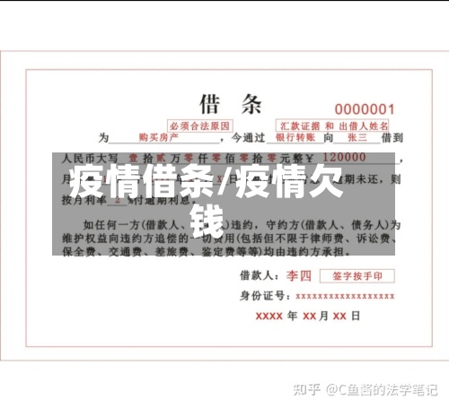 疫情借条/疫情欠钱-第3张图片