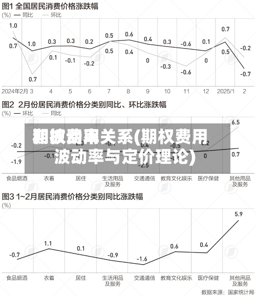 期权费用和波动率关系(期权费用波动率与定价理论)