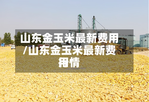 山东金玉米最新费用/山东金玉米最新费用行情-第2张图片