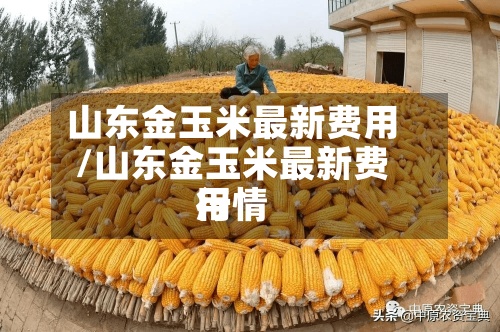 山东金玉米最新费用
/山东金玉米最新费用
行情