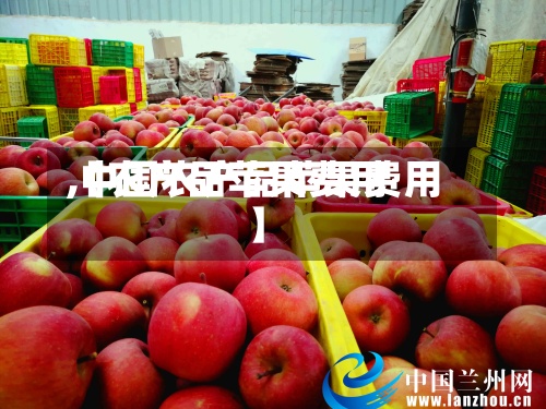 【农产品苹果费用,中国农产品苹果费用】-第3张图片