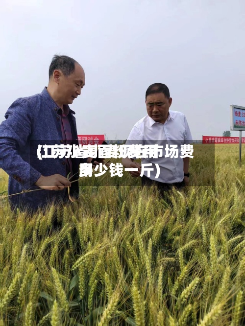 江苏小麦面粉费用
(江苏省小麦现在市场费用
多少钱一斤)-第2张图片
