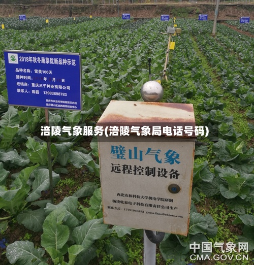 涪陵气象服务(涪陵气象局电话号码)