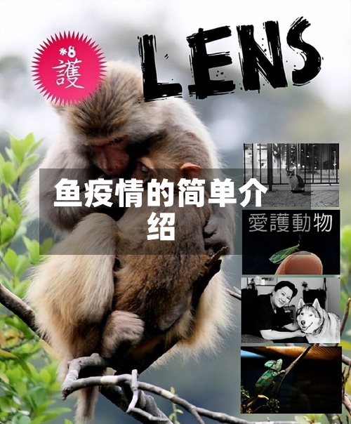 鱼疫情的简单介绍