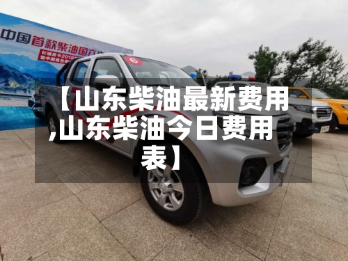 【山东柴油最新费用
,山东柴油今日费用
表】