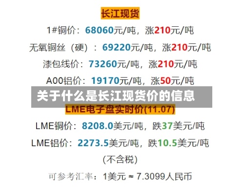 关于什么是长江现货价的信息