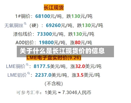 关于什么是长江现货价的信息-第3张图片