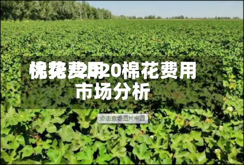 棉花费用优势/2020棉花费用市场分析