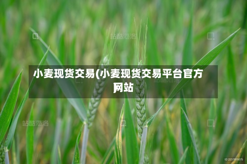 小麦现货交易(小麦现货交易平台官方网站)