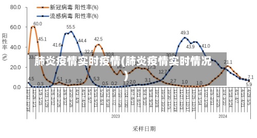 肺炎疫情实时疫情(肺炎疫情实时情况)