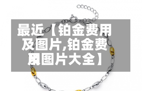 最近【铂金费用
及图片,铂金费用
及图片大全】-第2张图片