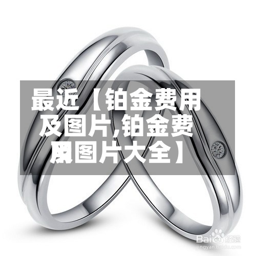 最近【铂金费用
及图片,铂金费用
及图片大全】-第3张图片