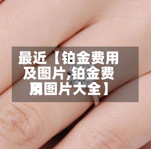 最近【铂金费用及图片,铂金费用及图片大全】