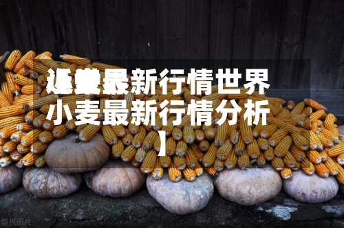 近来【世界小麦最新行情世界小麦最新行情分析】
