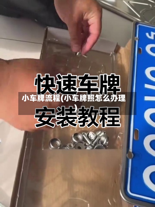 小车牌流程(小车牌照怎么办理)