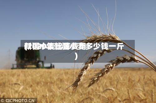 新疆小麦出库费用
(2020年新疆小麦多少钱一斤)-第2张图片