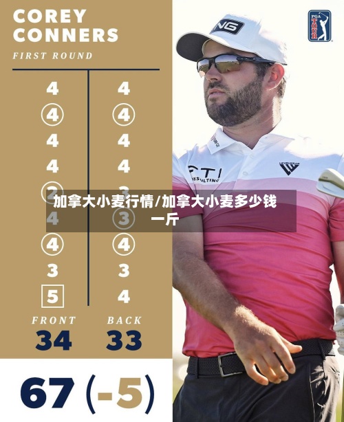 加拿大小麦行情/加拿大小麦多少钱一斤