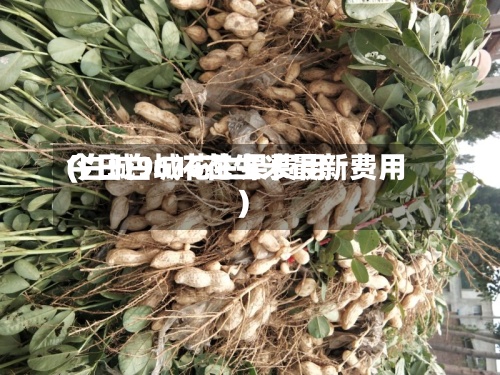 今日白城花生果费用(白城9616花生米最新费用)