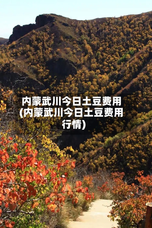 内蒙武川今日土豆费用
(内蒙武川今日土豆费用
行情)-第2张图片