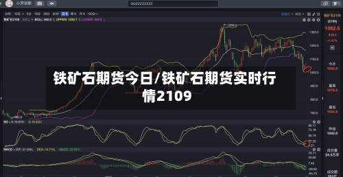 铁矿石期货今日/铁矿石期货实时行情2109