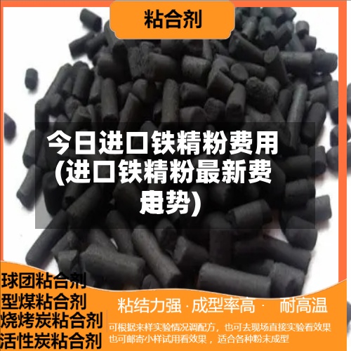 今日进口铁精粉费用(进口铁精粉最新费用走势)