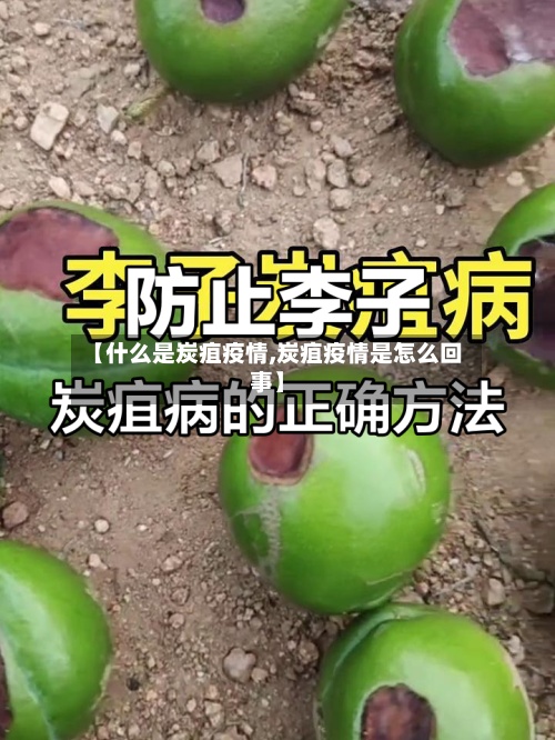 【什么是炭疽疫情,炭疽疫情是怎么回事】