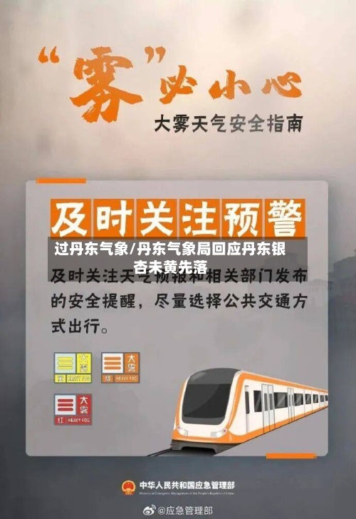 过丹东气象/丹东气象局回应丹东银杏未黄先落-第3张图片